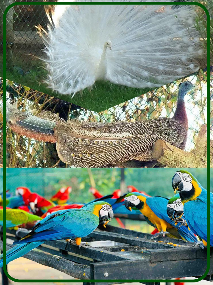 Birds Park Hambantota