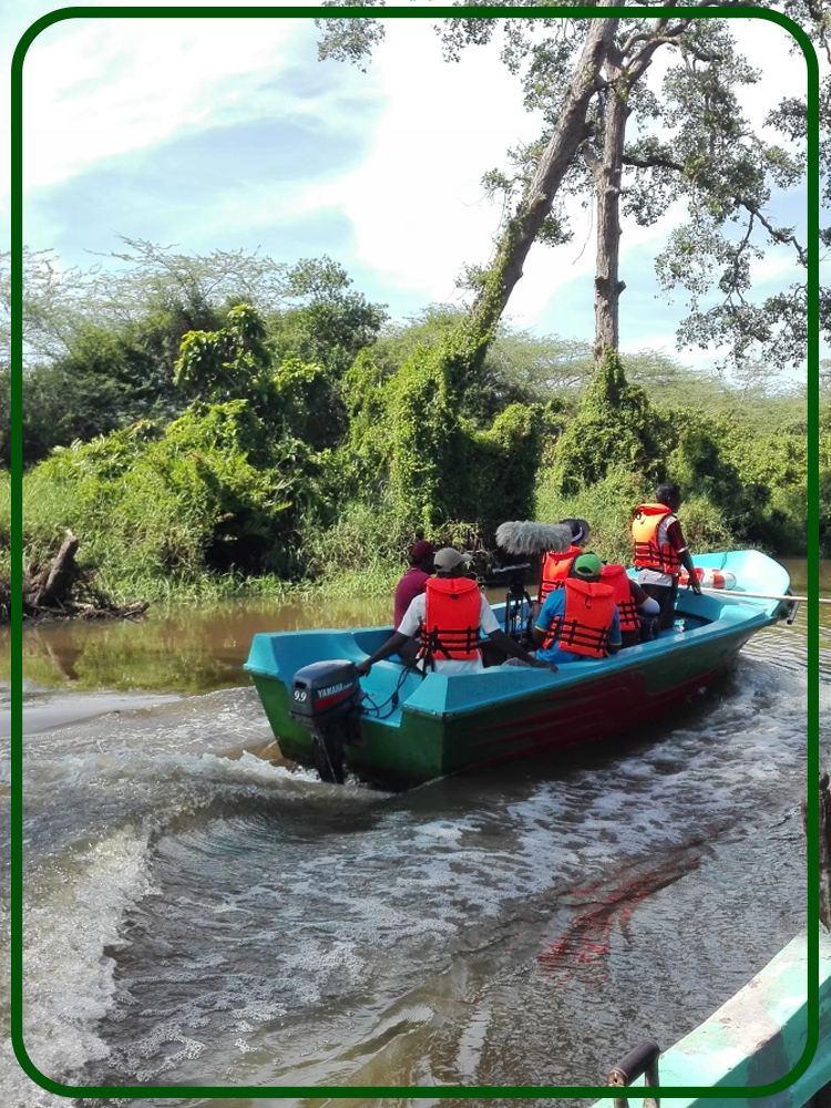 Walawe River Boat Safari